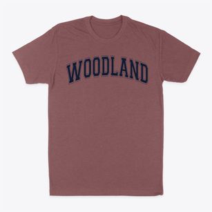 Woodland Elementary School Varsity Arch Classic Dad T-Shirt