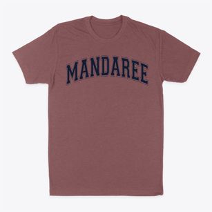 Mandaree Public School Varsity Arch Classic Dad T-Shirt