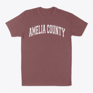Amelia County High School Varsity Arch Classic Dad T-Shirt