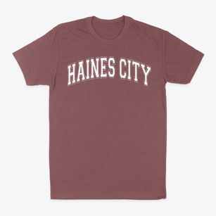 Haines City High School Varsity Arch Classic Dad T-Shirt