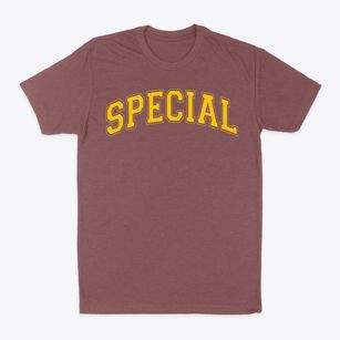 Special Education Annex Varsity Arch Classic Dad T-Shirt