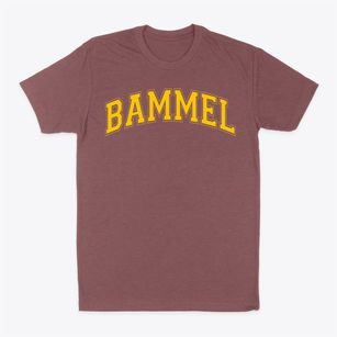 Bammel Middle School Varsity Arch Classic Dad T-Shirt