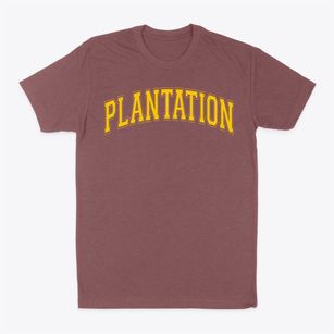Plantation Middle School Varsity Arch Classic Dad T-Shirt