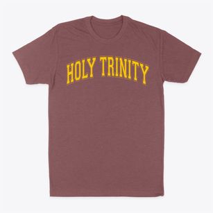 Holy Trinity School Varsity Arch Classic Dad T-Shirt