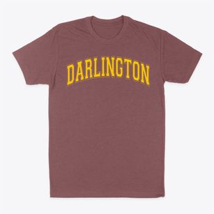 Darlington Elementary School Varsity Arch Classic Dad T-Shirt