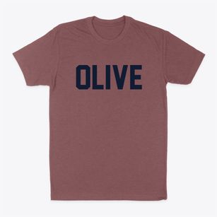 Olive New York Classic Block Classic Dad T-Shirt