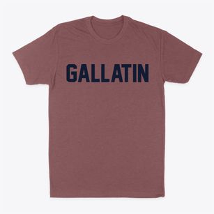 Gallatin New York Classic Block Classic Dad T-Shirt