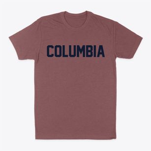Columbia Louisiana Classic Block Classic Dad T-Shirt