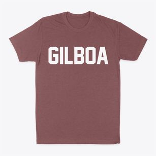 Gilboa Ohio Classic Block Classic Dad T-Shirt