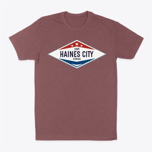 Haines City Florida Diamond Star Classic Dad T-Shirt