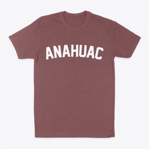 Anahuac Texas Classic Curve Classic Dad T-Shirt