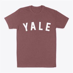 Yale Michigan Classic Curve Classic Dad T-Shirt