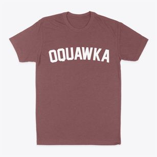 Oquawka Illinois Classic Curve Classic Dad T-Shirt