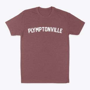 Plymptonville Pennsylvania Classic Curve Classic Dad T-Shirt