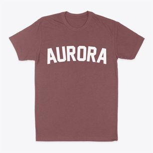 Aurora Missouri Classic Curve Classic Dad T-Shirt
