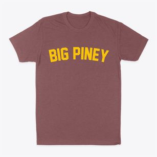 Big Piney Wyoming Classic Curve Classic Dad T-Shirt