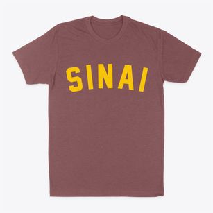 Sinai South Dakota Classic Curve Classic Dad T-Shirt