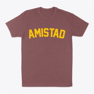 Amistad Texas Classic Curve Classic Dad T-Shirt