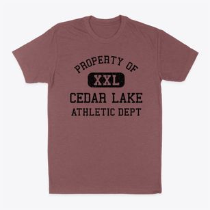 Cedar Lake Wisconsin Athletic Dept Classic Dad T-Shirt