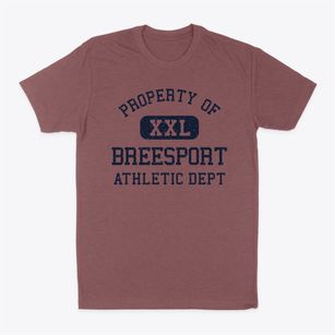Breesport New York Athletic Dept Classic Dad T-Shirt