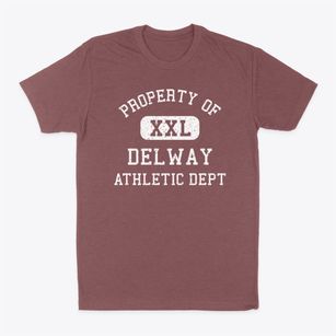 Delway North Carolina Athletic Dept Classic Dad T-Shirt
