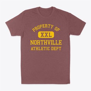 Northville New York Athletic Dept Classic Dad T-Shirt