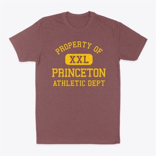 Princeton Missouri Athletic Dept Classic Dad T-Shirt