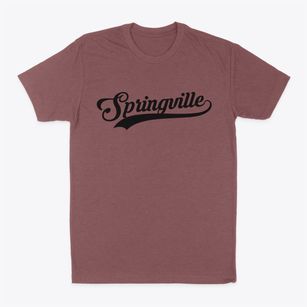 Springville New York Vintage Team Classic Dad T-Shirt