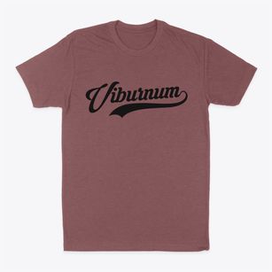 Viburnum Missouri Vintage Team Classic Dad T-Shirt
