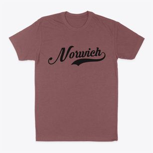 Norwich Ohio Vintage Team Classic Dad T-Shirt