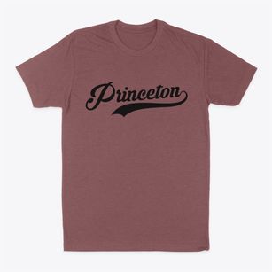 Princeton Indiana Vintage Team Classic Dad T-Shirt