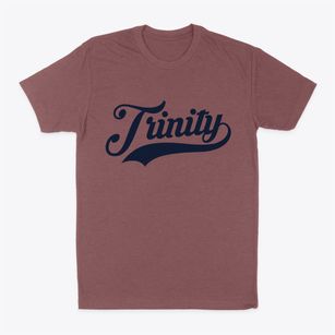 Trinity Texas Vintage Team Classic Dad T-Shirt