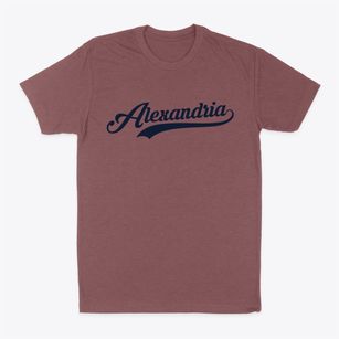 Alexandria New Hampshire Vintage Team Classic Dad T-Shirt