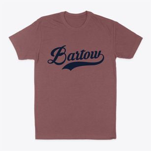 Bartow West Virginia Vintage Team Classic Dad T-Shirt