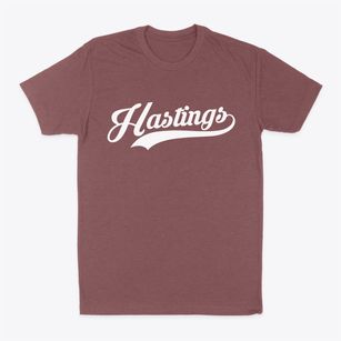 Hastings Florida Vintage Team Classic Dad T-Shirt