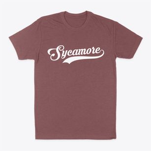 Sycamore Illinois Vintage Team Classic Dad T-Shirt
