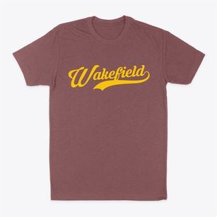 Wakefield Pennsylvania Vintage Team Classic Dad T-Shirt