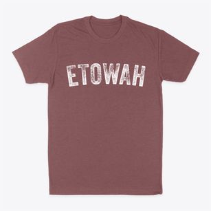 Etowah Tennessee Timeless Retro Classic Dad T-Shirt