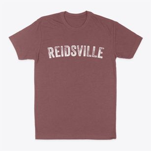 Reidsville Georgia Timeless Retro Classic Dad T-Shirt