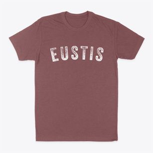 Eustis Maine Timeless Retro Classic Dad T-Shirt