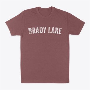 Brady Lake Ohio Timeless Retro Classic Dad T-Shirt