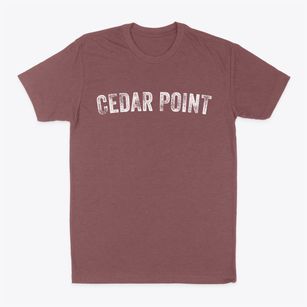 Cedar Point Illinois Timeless Retro Classic Dad T-Shirt