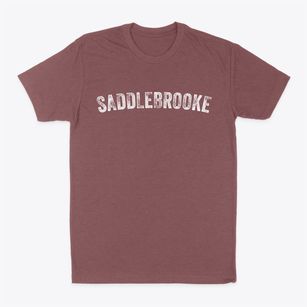 Saddlebrooke Arizona Timeless Retro Classic Dad T-Shirt