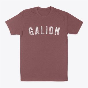 Galion Ohio Timeless Retro Classic Dad T-Shirt