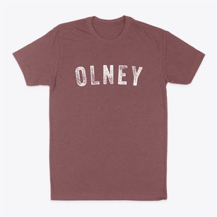 Olney Illinois Timeless Retro Classic Dad T-Shirt