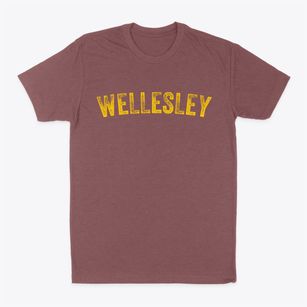 Wellesley Massachusetts Timeless Retro Classic Dad T-Shirt