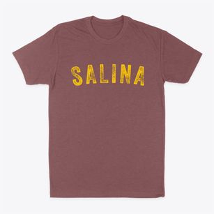 Salina Oklahoma Timeless Retro Classic Dad T-Shirt