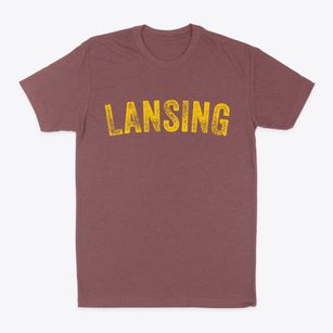 Lansing Illinois Timeless Retro Classic Dad T-Shirt