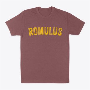 Romulus Michigan Timeless Retro Classic Dad T-Shirt