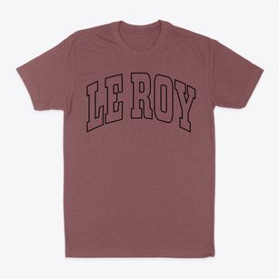 Le Roy Illinois Trendy Block Classic Dad T-Shirt